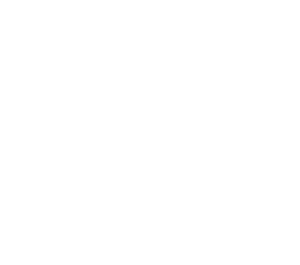 LEDSports Logo