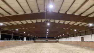 Reit- und Fahrverein 1926 Niederzeuzheim e.V. (Reiten)