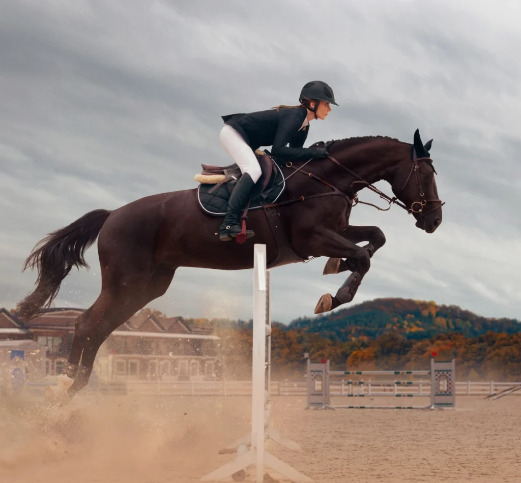 LEDSports Website Lichtplanung (8)